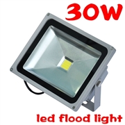 30W LED Flood Light