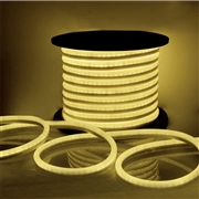 110V/230V 100M/Roll 2835SMD LED Neon Strip Light