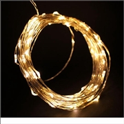 12V 10M Copper Wire LED String Light-Warm White Color